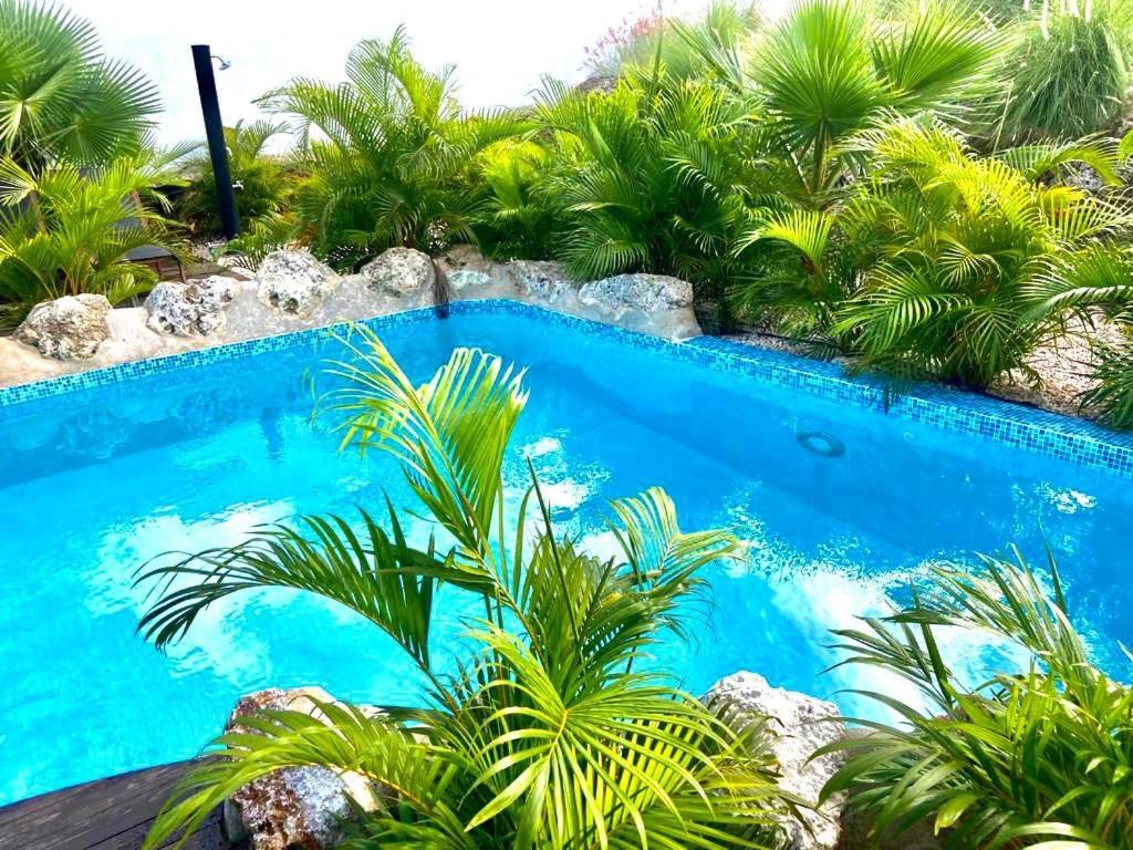 Neue Villa Tropic Paradise Willemstad Exterior photo